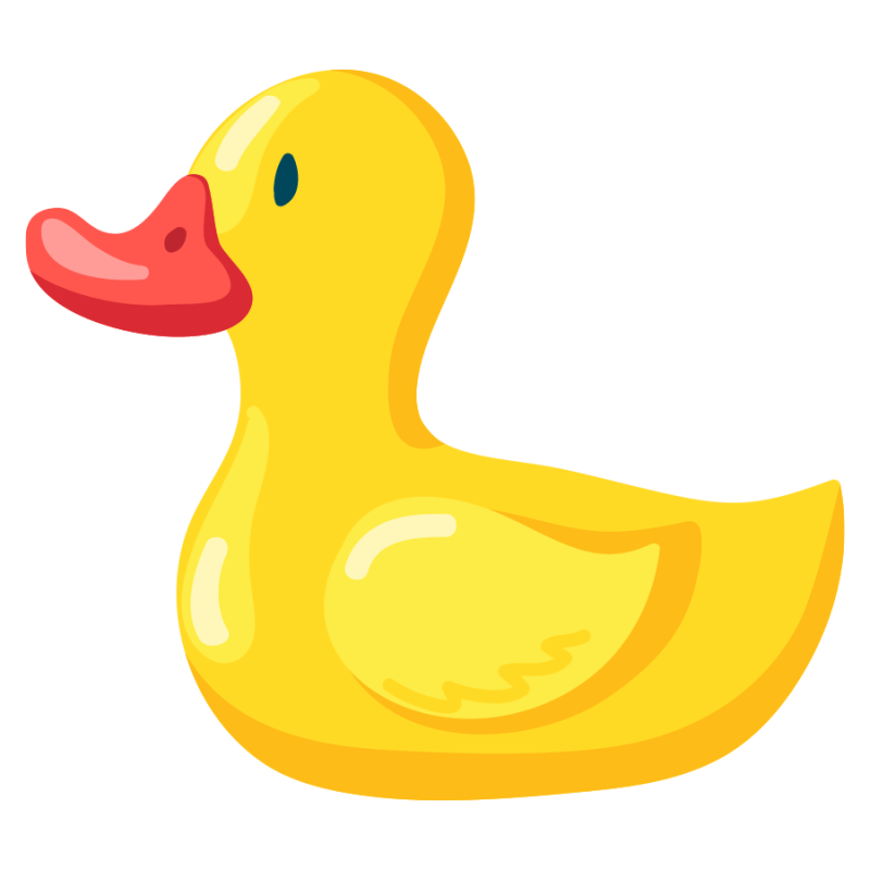 Duck toy