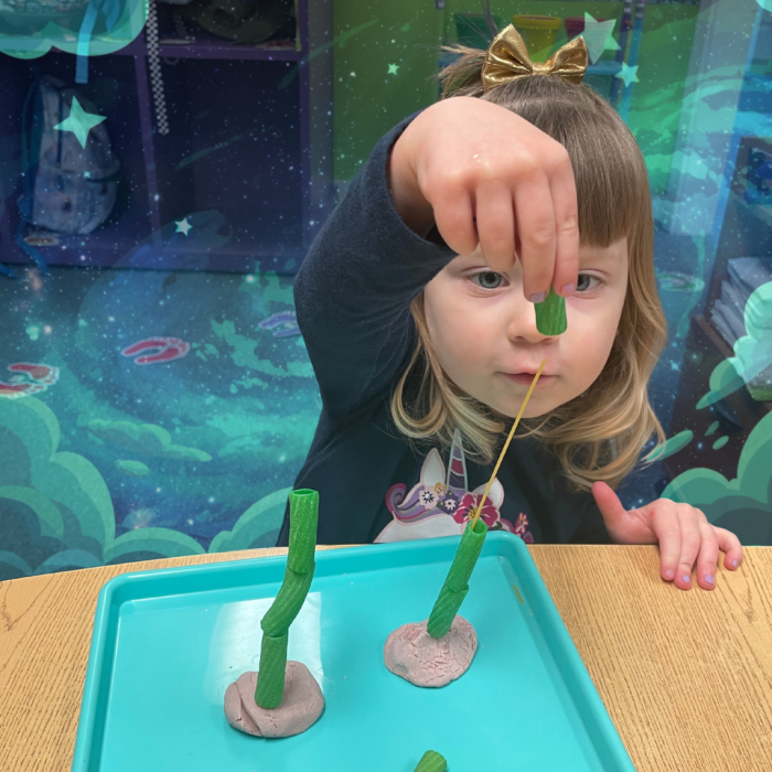 Teaching World Nampa, Idaho #teachingworld (39)